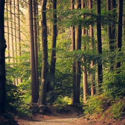 ballbet贝博官网app